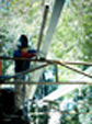 ampliar imagen